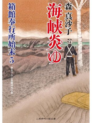 cover image of 箱館奉行所始末5 海峡炎ゆ: 本編
